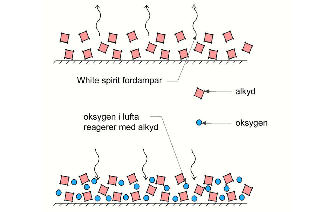 Alkydmåling der white spirit fordampar medan oksygen i lufta reagerer med alkyl. Illustrasjon.