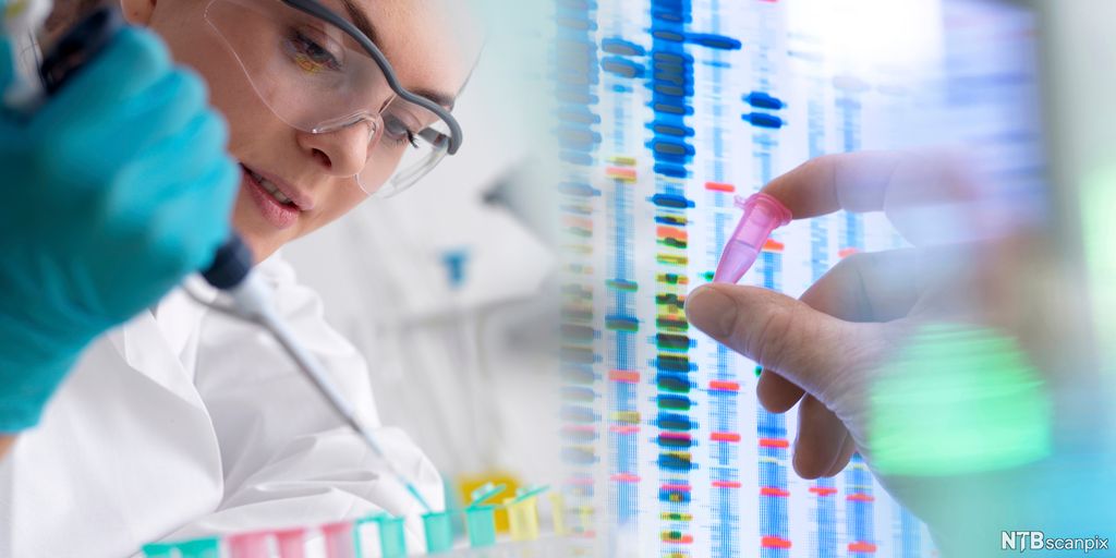 Laboratoriija dutkiin mii kárte DNA. Govva.