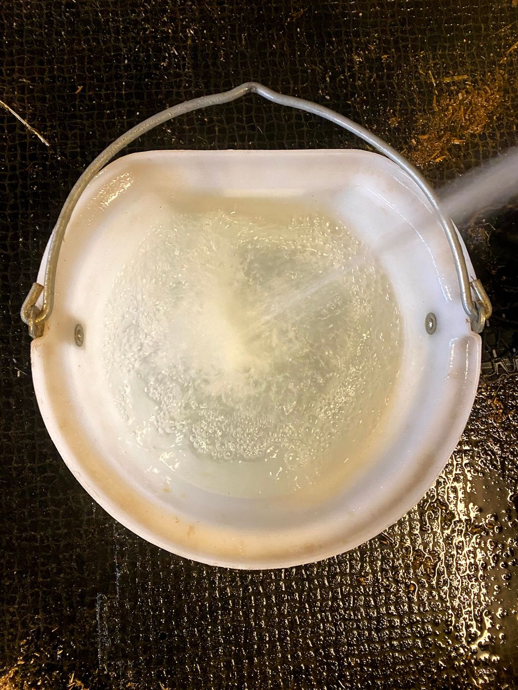 Vannbøtte som blir fylt. Foto.