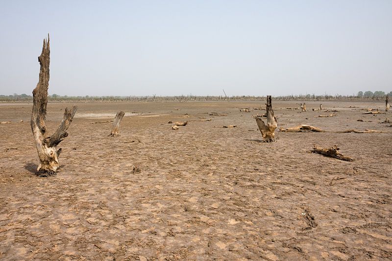 Eit tørkeramma område mot blå himmel. Foto.