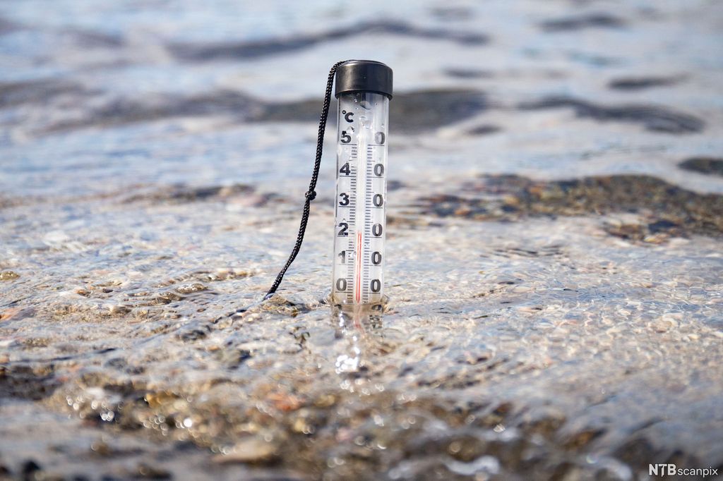 Badetermometer i vann. Bilde.