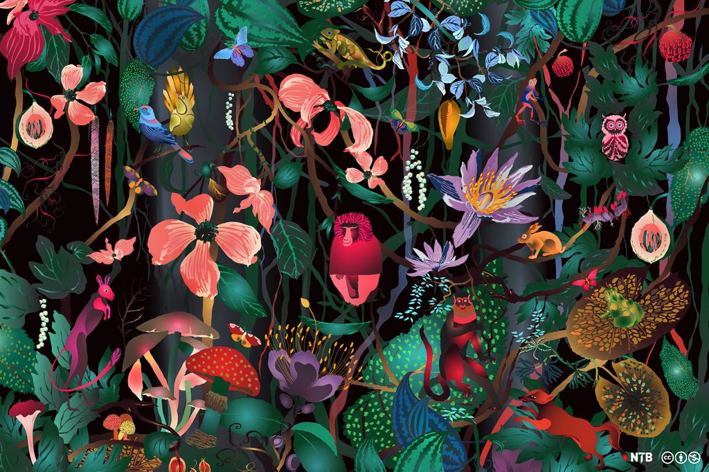 Frodig skog med dyr og planter i mange farger. Illustrasjon.