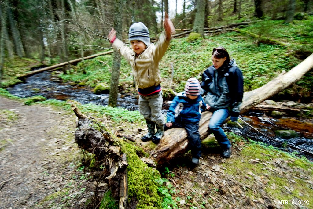 En voksen sitter sammen med to barn på en trestokk ute i skogen om våren. Det ene barnet sitter foran den vokse og det andre står på trestammen og strekker hendene i været. Foto.