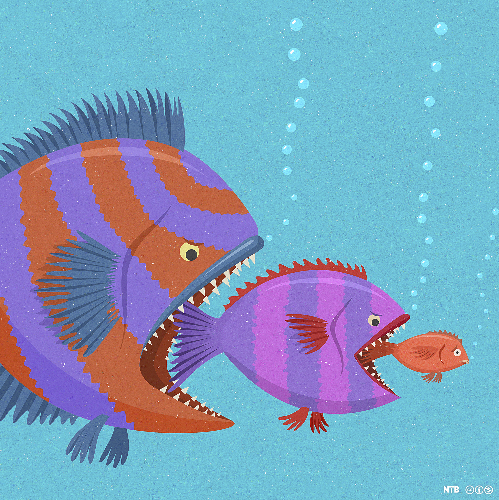 Drawing: A big fish gapes over a smaller fish that gapes over a smaller fish. The sea and the fish are brightly coloured. 