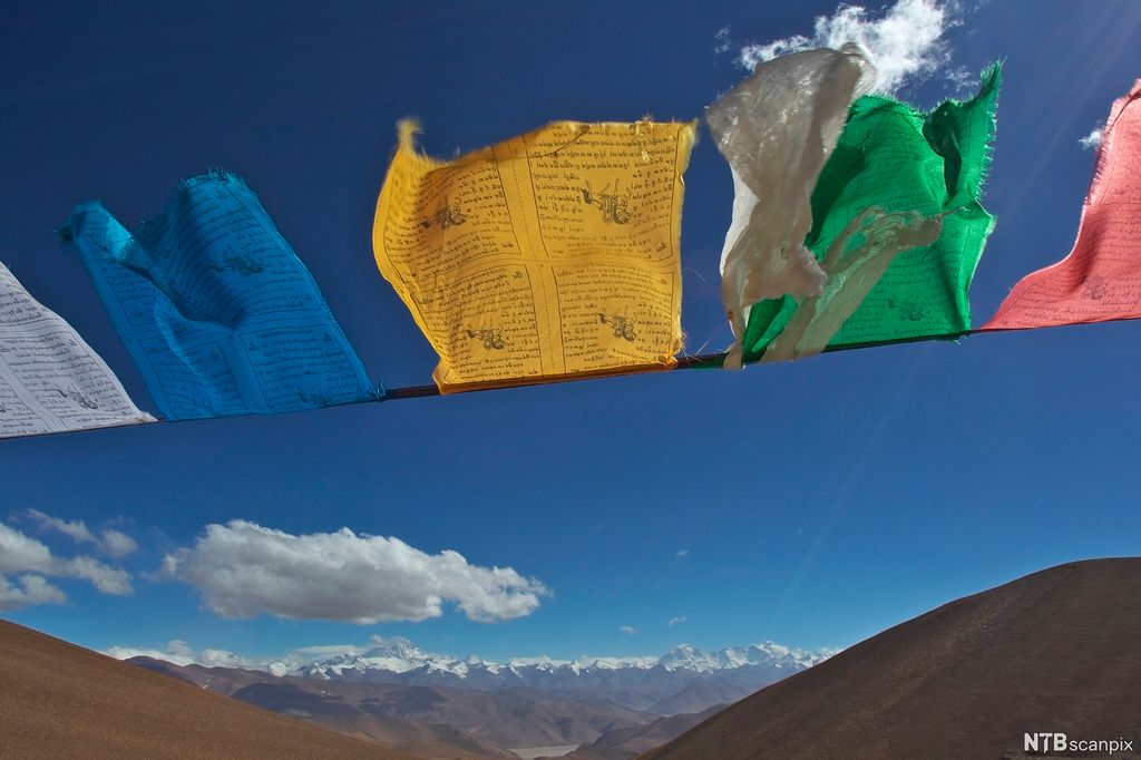 Flagg i ulike farger med skrift på blafrer i vinden. Fjell og blå himmel i bakgrunnen. Foto.