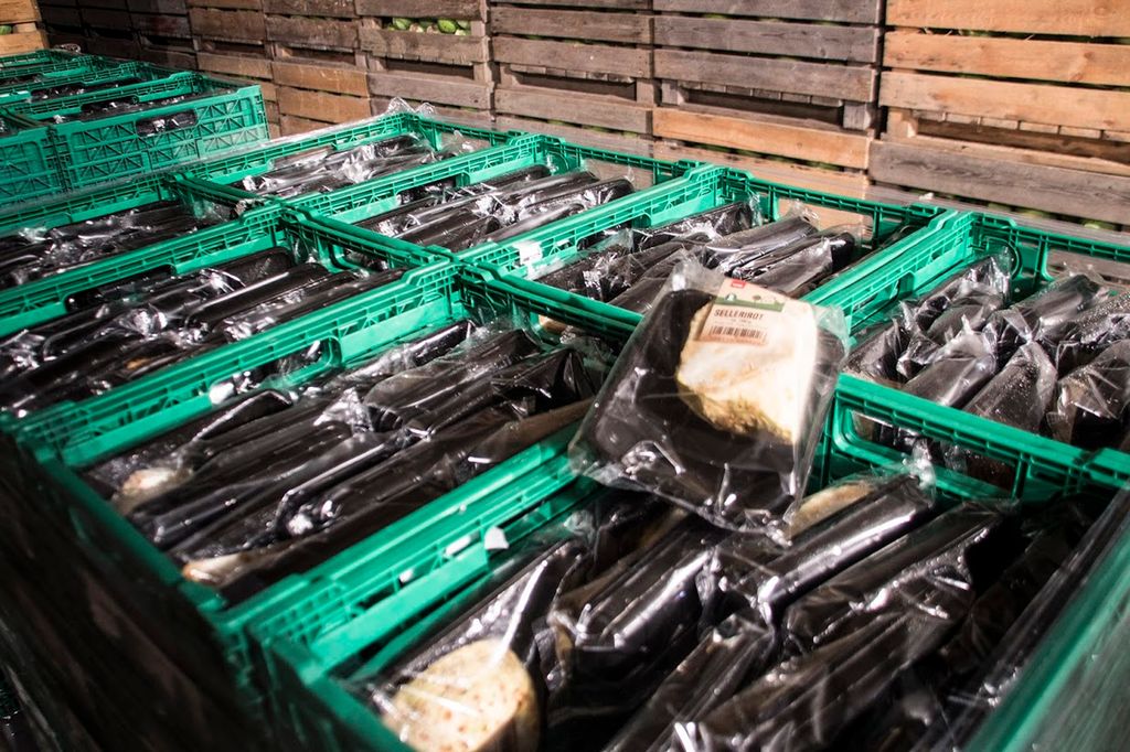 Rader med grønnsakskasser. Foto.