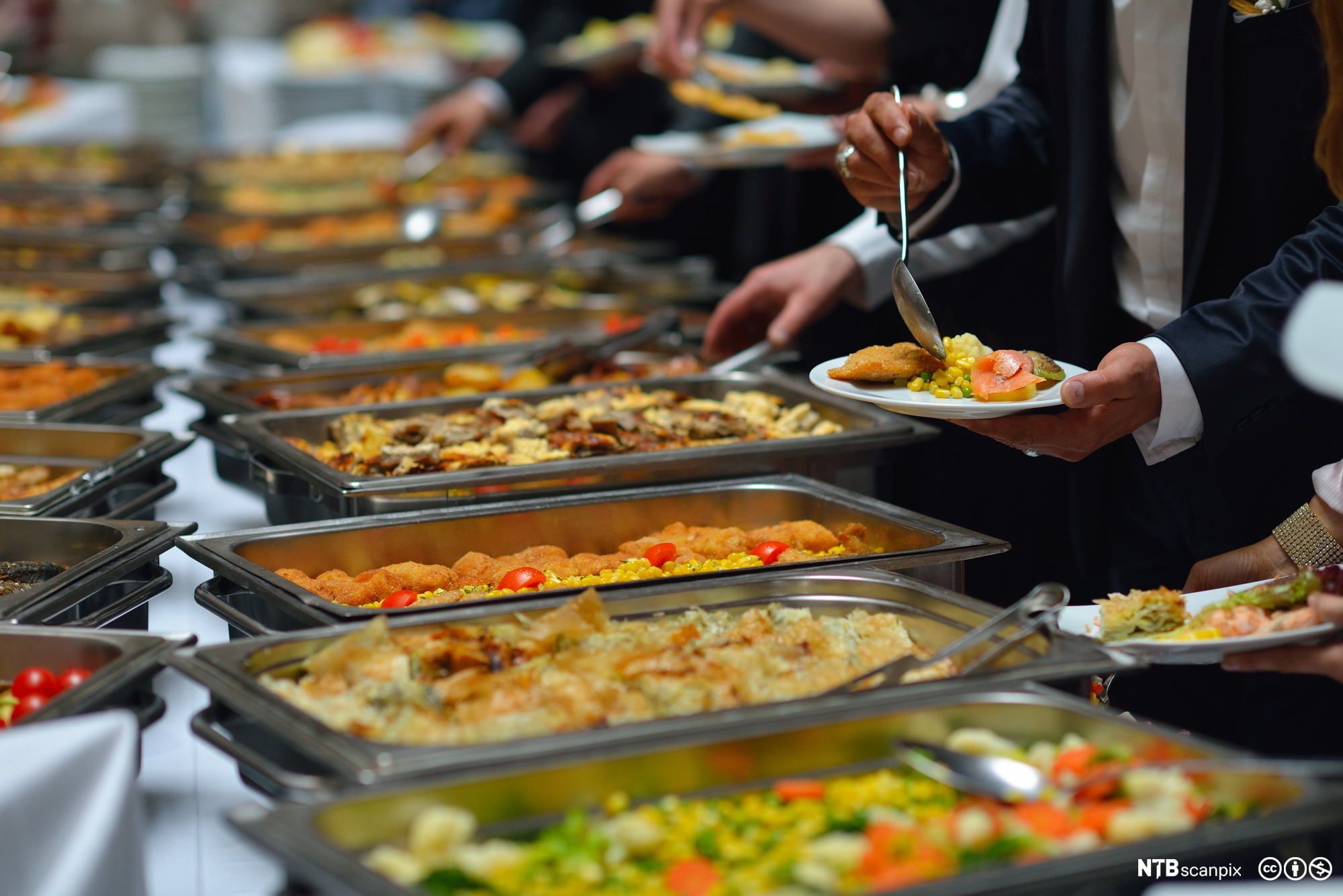 Lunsjbuffé med mange fat med mat. Foto.