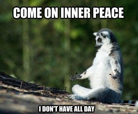 Mem med foto av en vaskebjørn med utstrakte armer. Over står teksten: &quot;Come on inner peace&quot;, og under står teksten &quot;I don&#x27;t have all day&quot;. Illustrasjon.