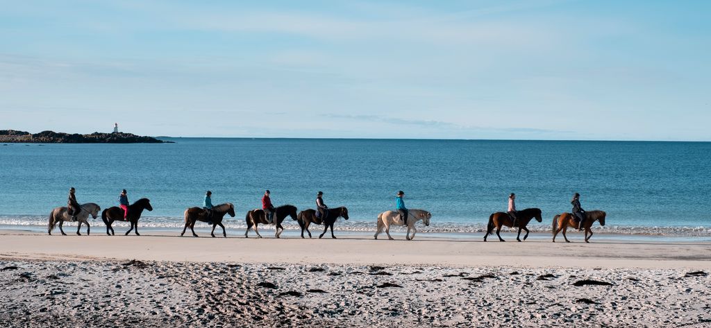 Åtte islandshester med ryttere langs en vakker strand på Gimsøy, Lofoten. Stille hav og blå himmel. Fotografi.