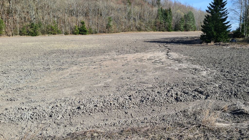 Et jorde der vann har rent over jorda og dratt med seg jord. Foto.