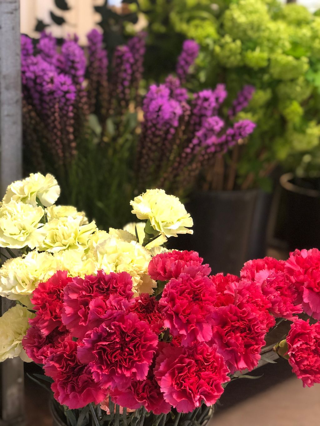 Ulike sorter blomster som står i bøtter. Foto.