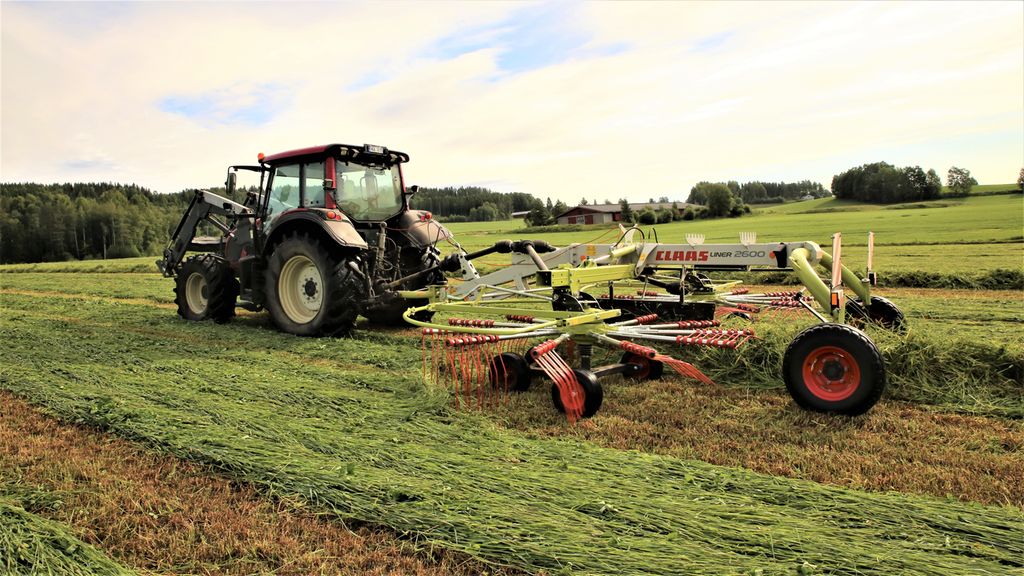 Traktor med samlerive som vender og samler gras fra begge sider i en ranke.  Foto.