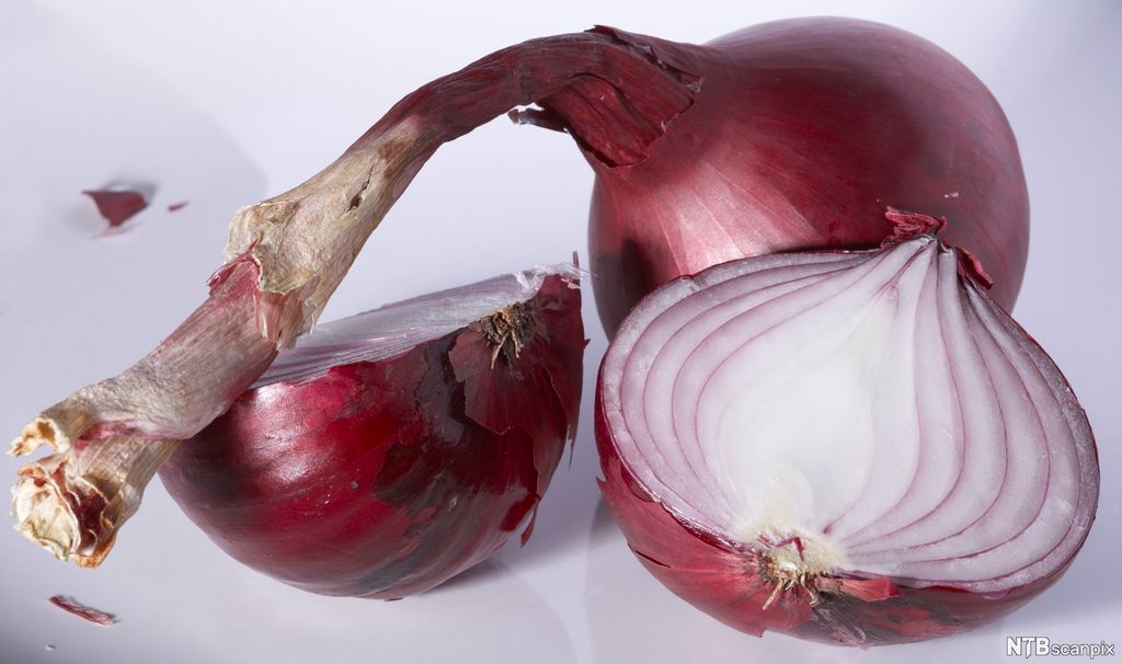 To raudlauker. Den eine er heil, og den andre er delt i to. Foto.