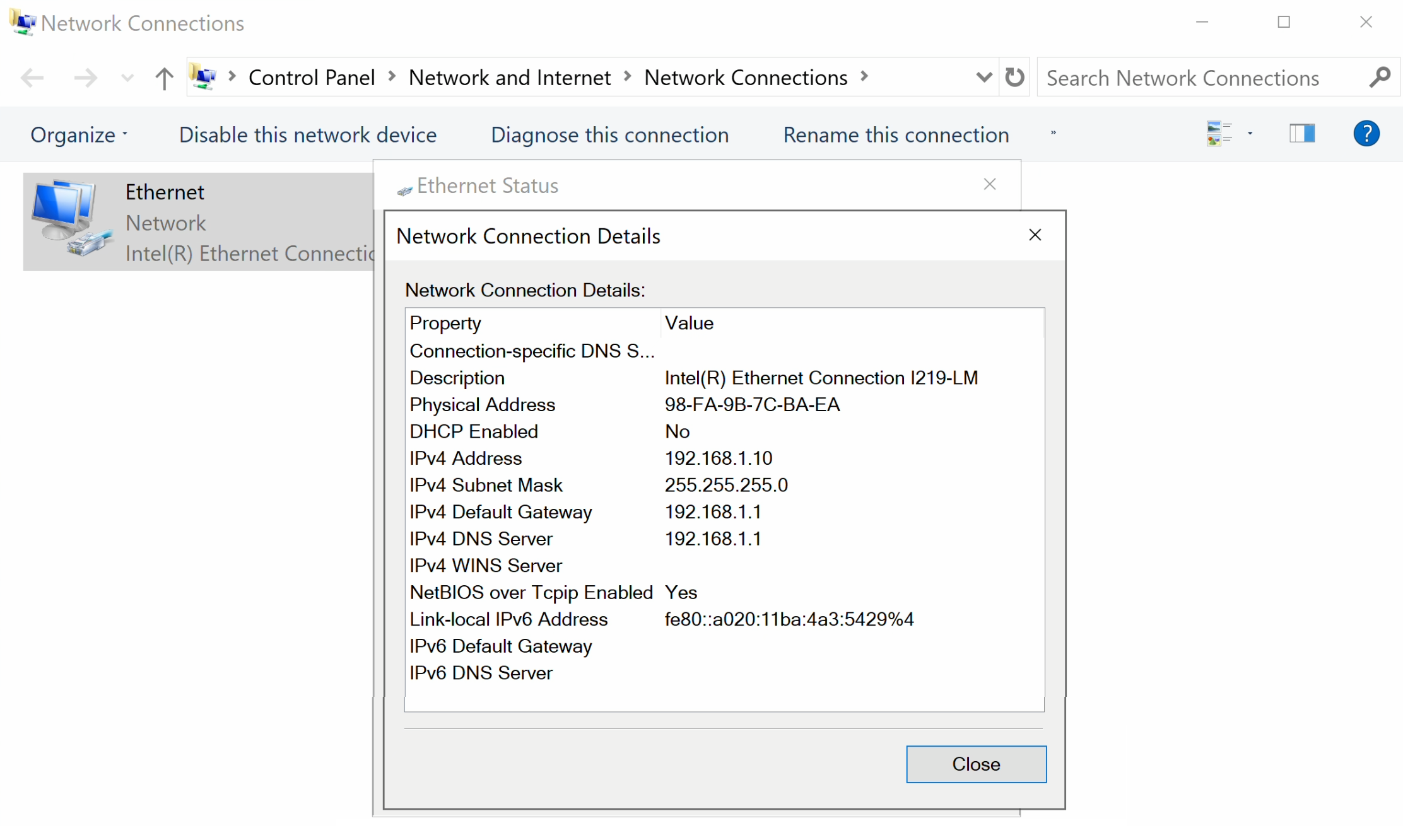 Skjermvindu med liste over nettverkskortkonfigurasjon. Skjermbilde.
