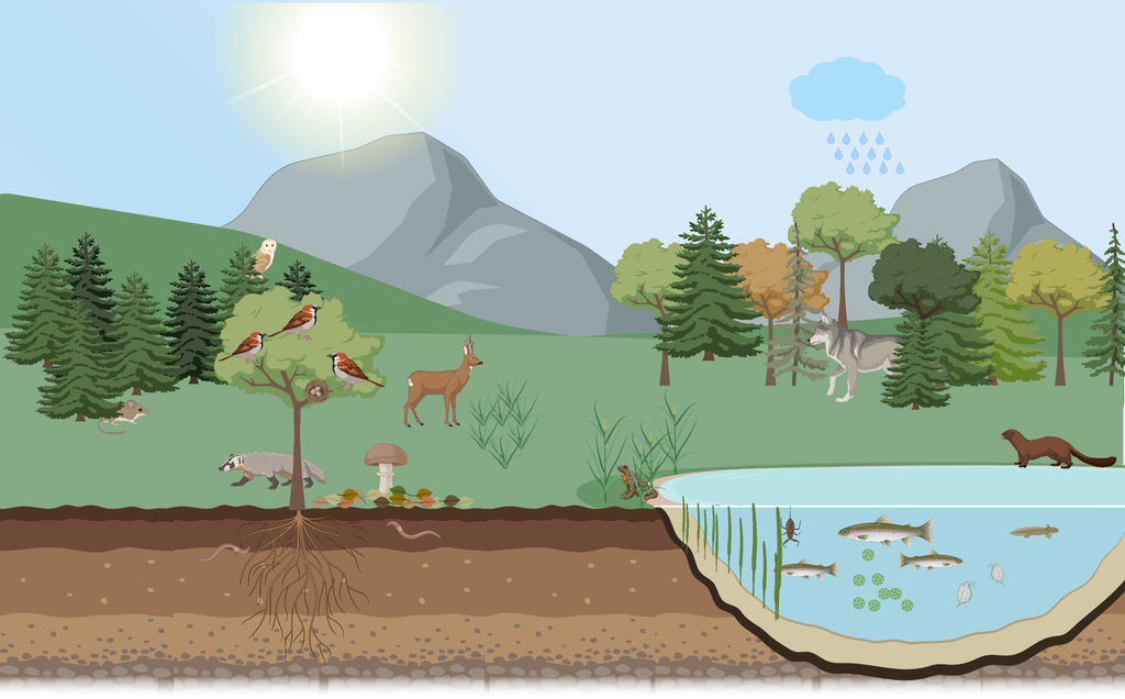 Landskap med mange dyr og planter. Illustrasjon.
