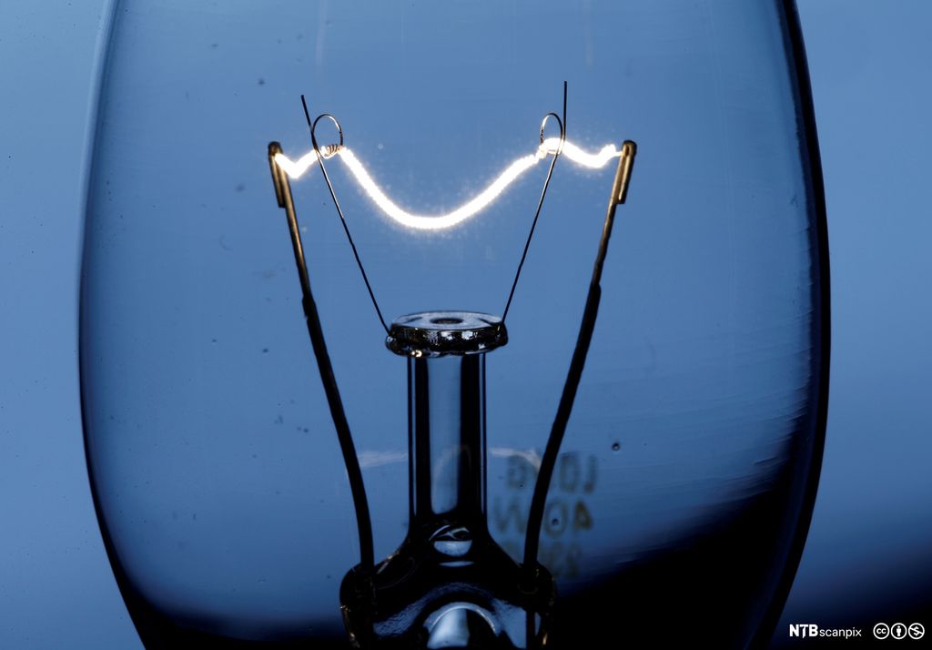 Lyspære med synlig glødetråd. Foto.