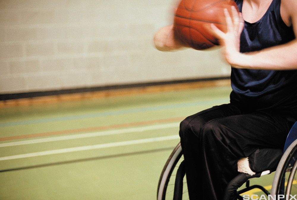 Basketballspiller i rullestol. Foto. 