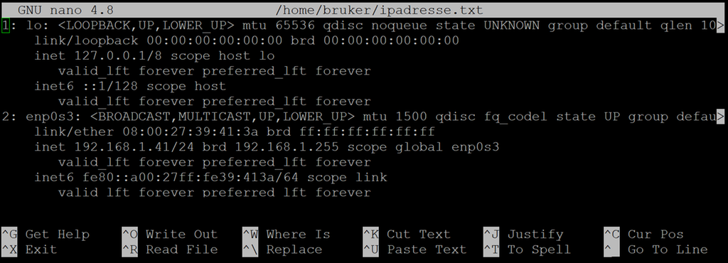 Tekstbasert editor delt i tre. Øverst er navnet på programmet og filplassering, så innholdet i dokumentet. Nederst er to linjer med hurtigtaster. Skjermbilde.