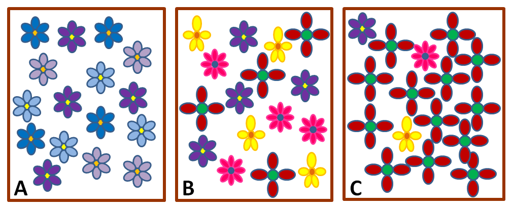 Tre rammer (A, B og C) som inneholder ulike blomstertyper. Illustrasjon.