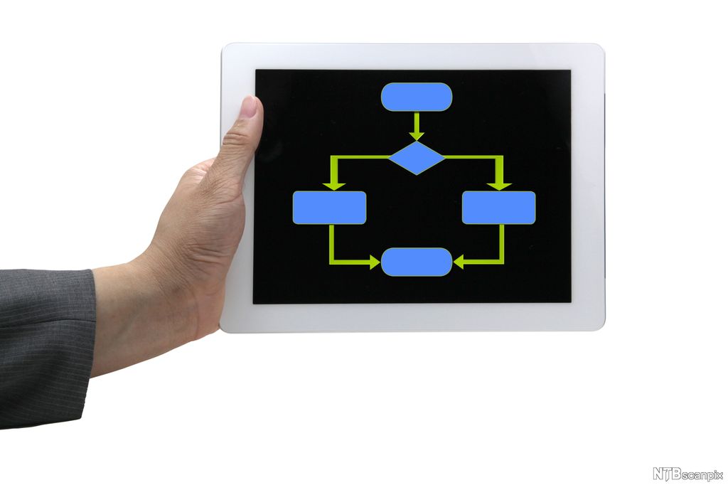 Hånd holder et nettbrett med bilde av flere mindre bokser med piler mellom. Illustrasjon.