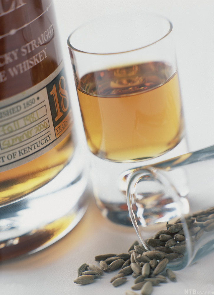 En flaske og et glass med rugwhiskey. Ved siden ligger et veltet glass med hel rug oppi. Foto.