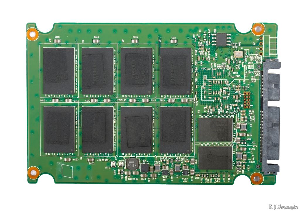Firkantet kretskort med åtte svarte mikrobrikker fordelt på to rader med fire på hver. Ved siden av er det andre småkomponenter, en brikke for buffer og en brikke for kontroller. Helt på enden er det en SATA-kontakt for tilkobling til datamaskin. Foto.