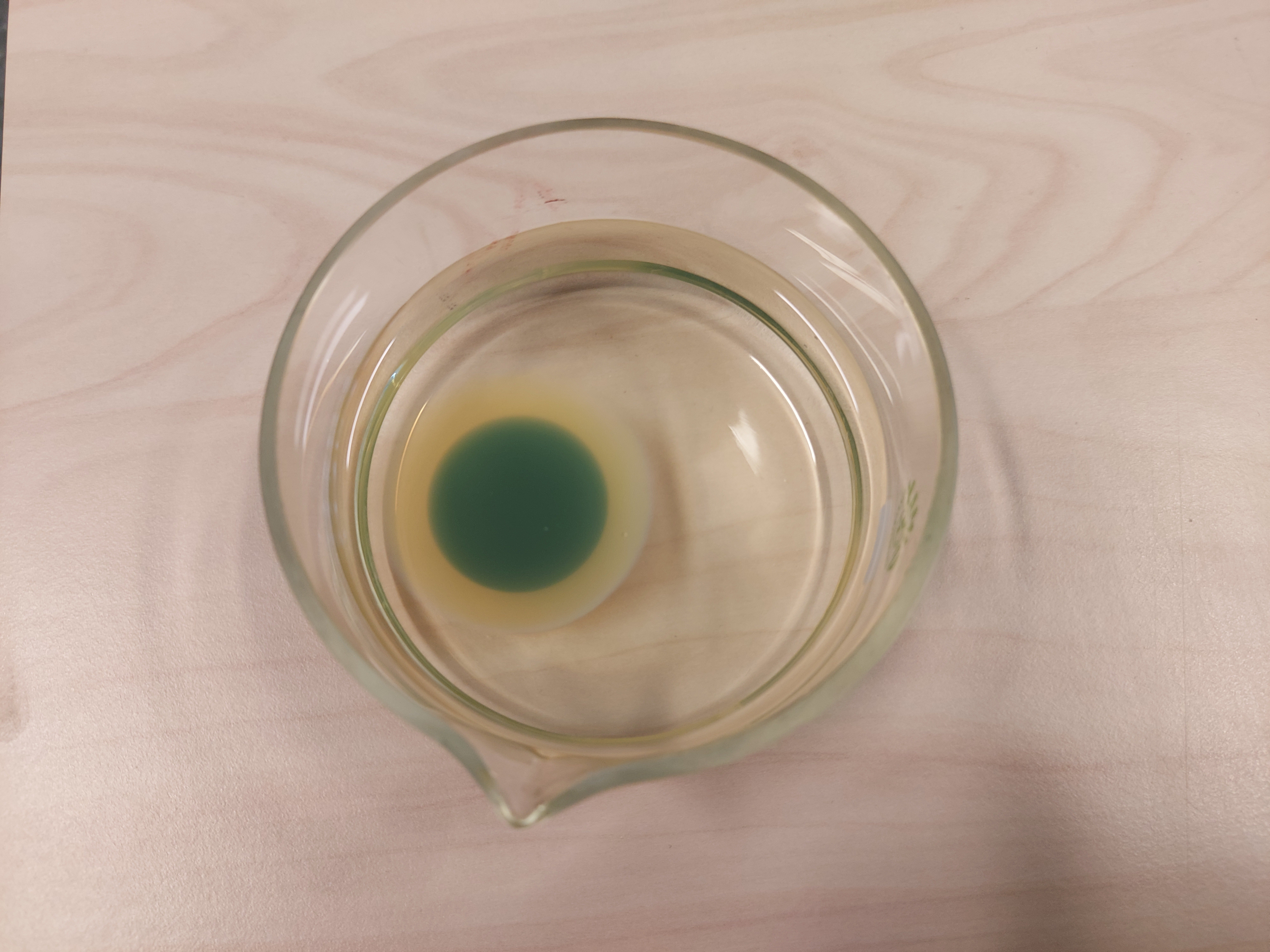 Sirkulær struktur med grønt felt ligger i væske i et glass. Foto.