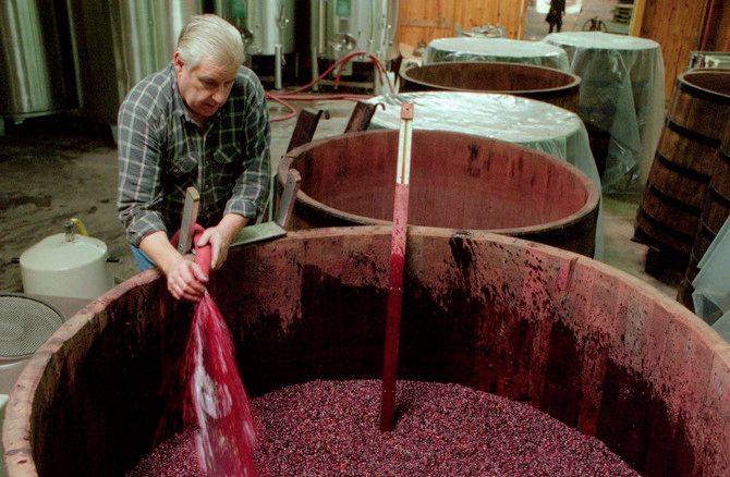 Rødvin gjærer i et stort trekar. Foto.