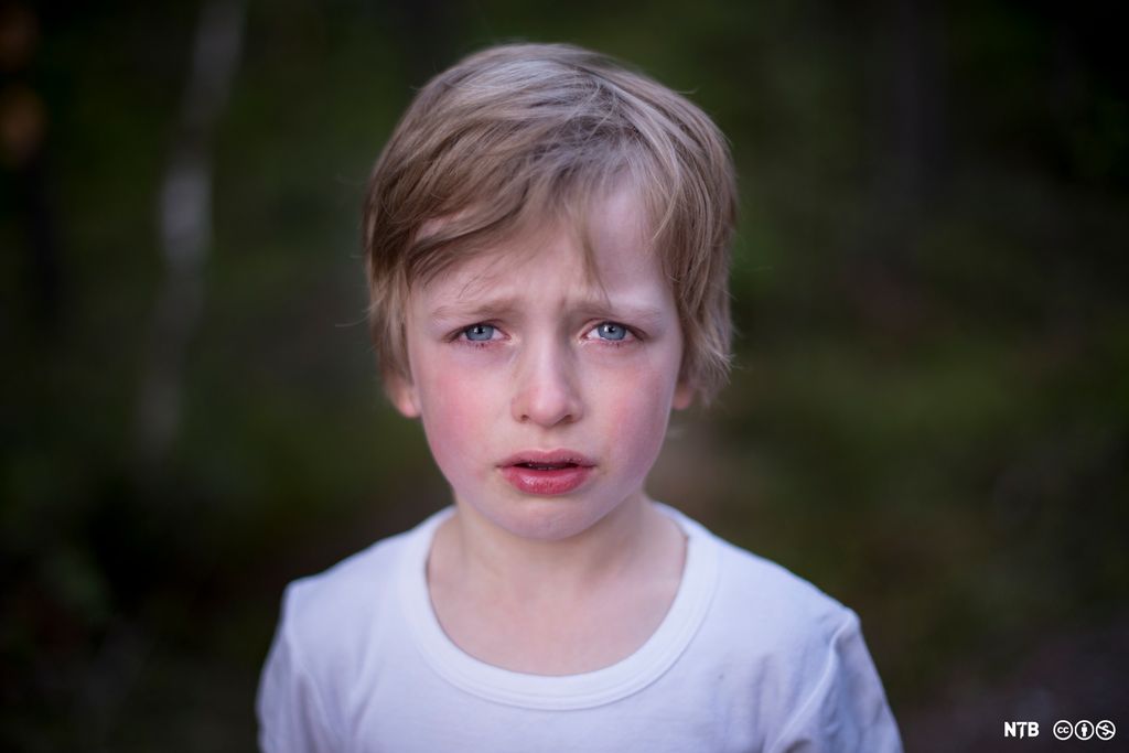 Liten gutt gråter og er lei seg. Foto.