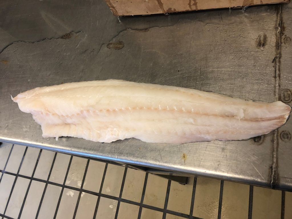 Lys fiskefilet på en stålbenk. Foto.