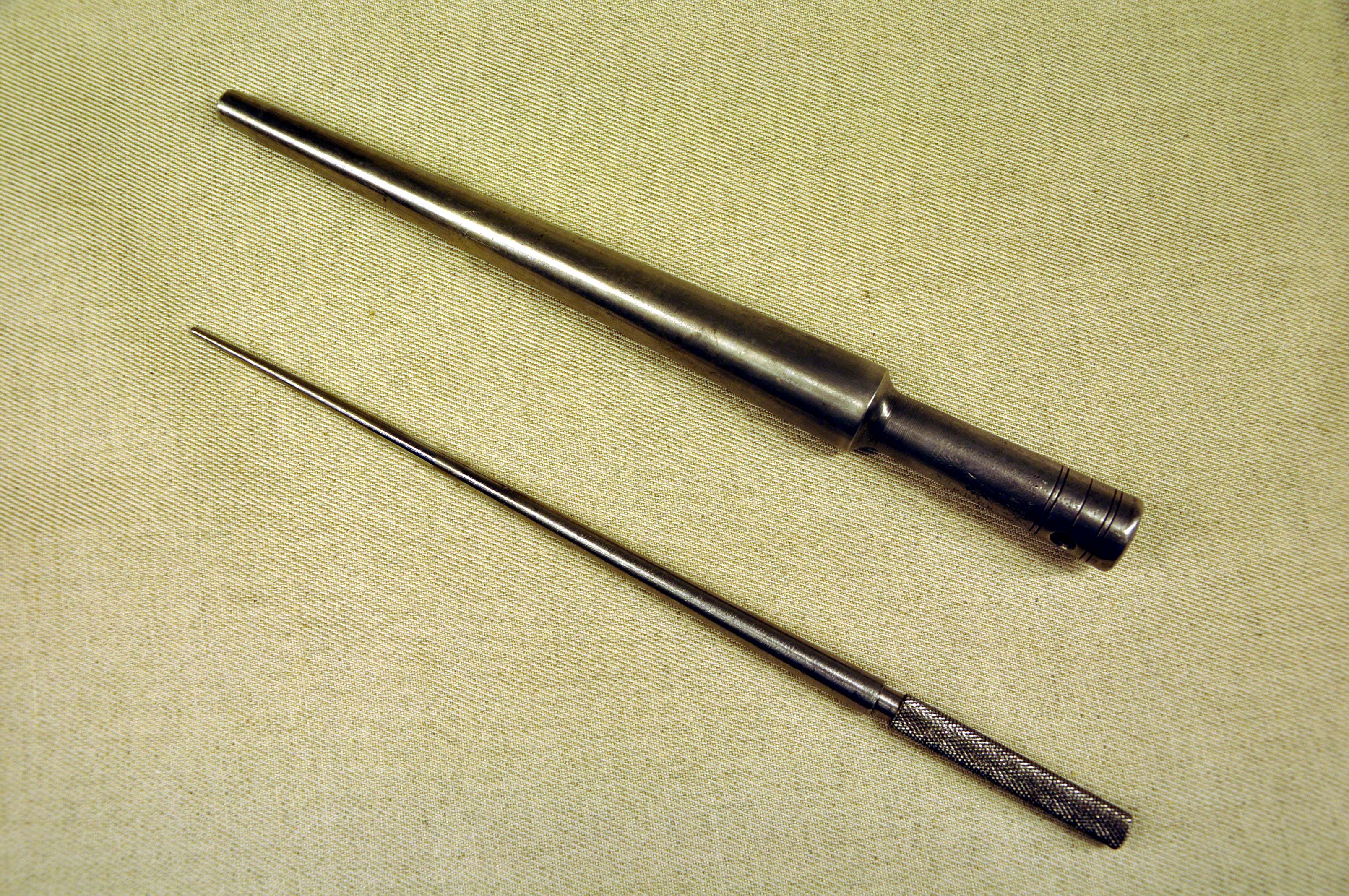 Ringdor og rigel. Foto.