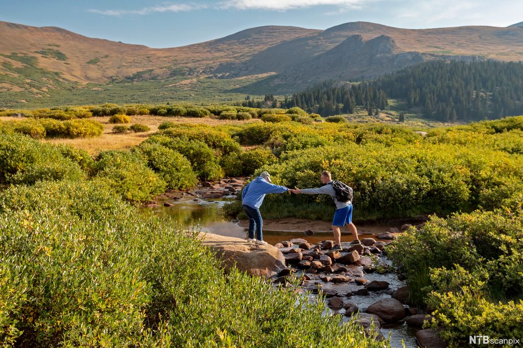 Ein mann i blå shorts, grå genser og svart sekk står på nokre steinar i ein bekk. Han rekkjer ut handa mot ein eldre person med blå bukse, blå jakke og grå caps. Mannen i bekken prøver å hjelpe den eldre personen til å krysse bekken. I bakgrunnen er det variert natur med busker, granskog og åsar. Foto.