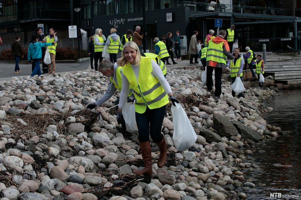 Kvinne i gul refleksvest plukker søppel i strandsonen. Foto.