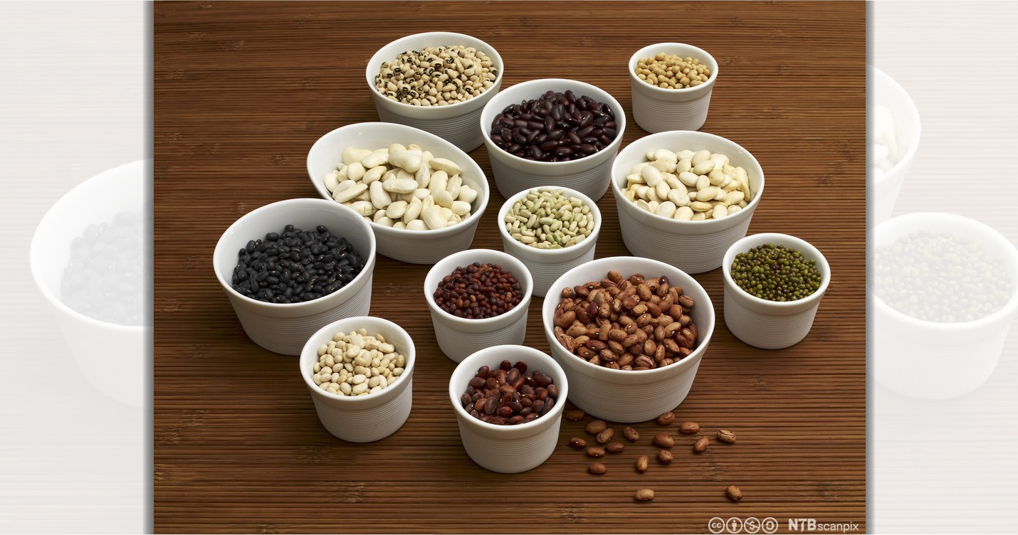 Tørkede bønner i ulike farger og størrelser i skåler. Foto.