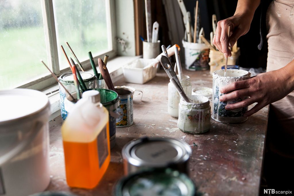 Málabovssat ja penselat. Govva.