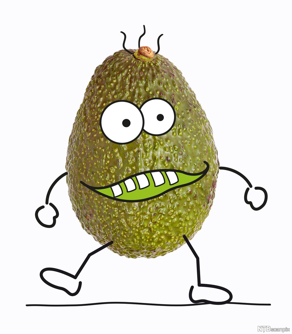 Avokado med påtegnet ansikt, armer og bein. Illustrasjon.