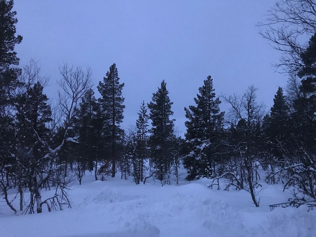 Aerede skåajjesne, lopme. Guvvie.