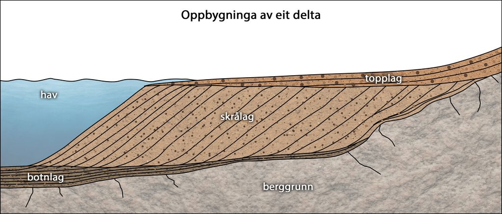 Teikning som viser korleis eit delta er bygd opp. Lag på lag med lausmassar er bygde opp utover i eit stilleståande vatn. I enden er det ei skråning. Illustrasjon.