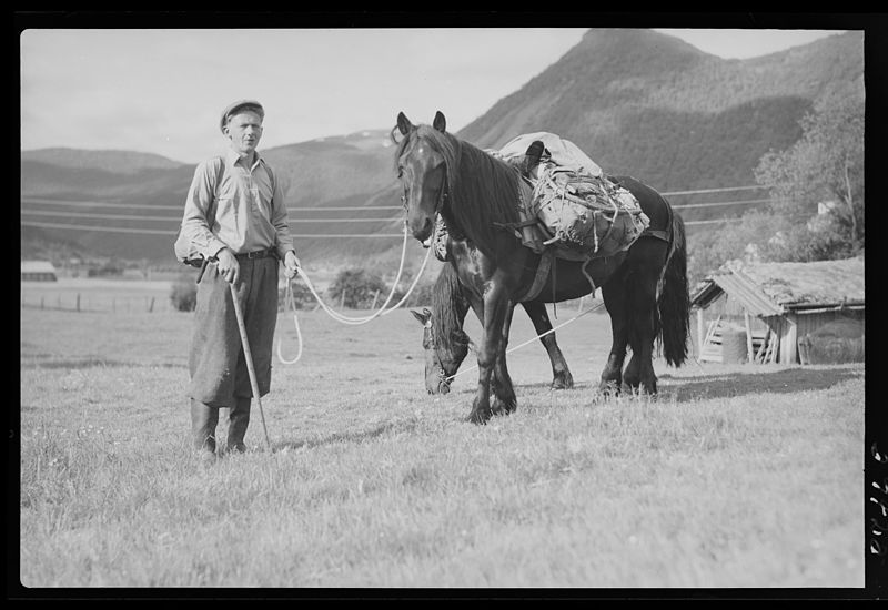 Kløvhest og bonde fra gamle dager. Valle, Setesdal. Foto.