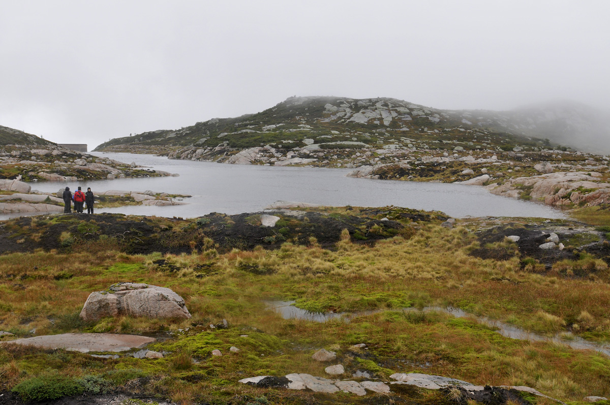 Tre personar står med ryggen til kamera og ser utover fjellandskapet med vatn, stein og tåke. Foto.