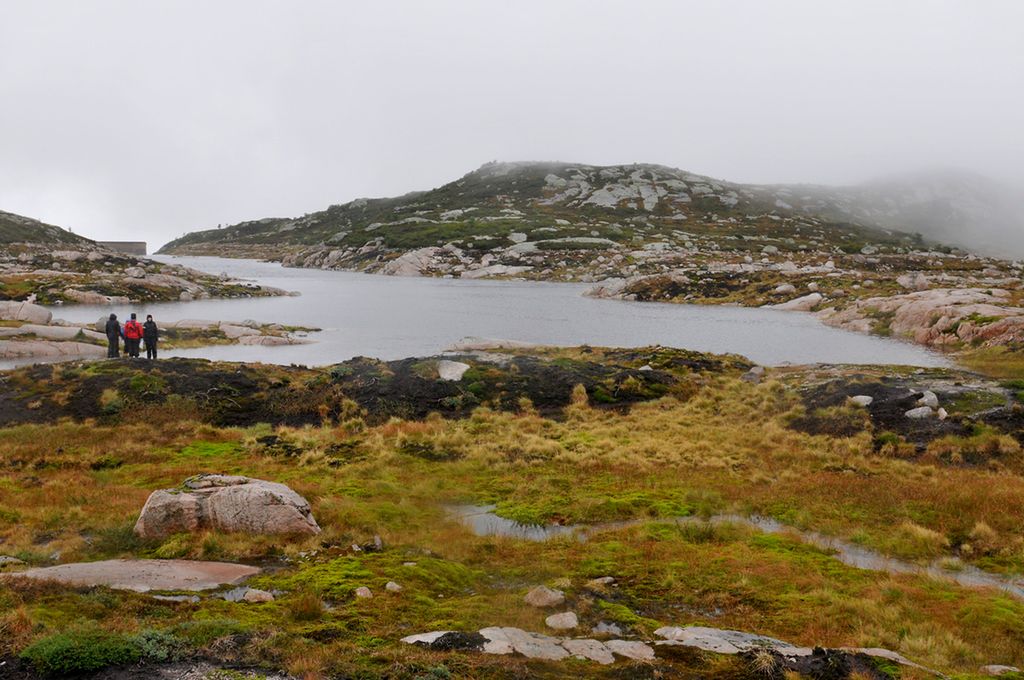 Golme almetjh tjåadtjoeminie guevtele-jaevrien bealesne vuartesjeminie. Guvvie.