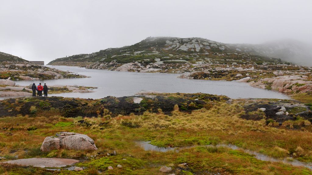 Tre personar står med ryggen til kamera og ser utover fjellandskapet med vatn, stein og tåke. Foto.