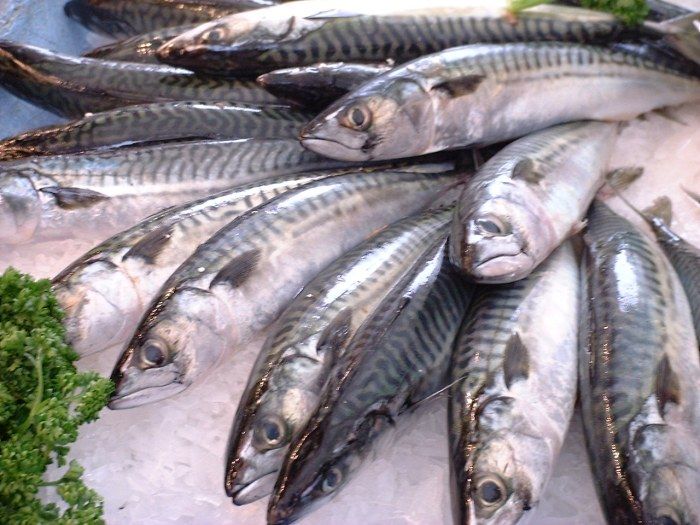 Fisk til koking. Foto.