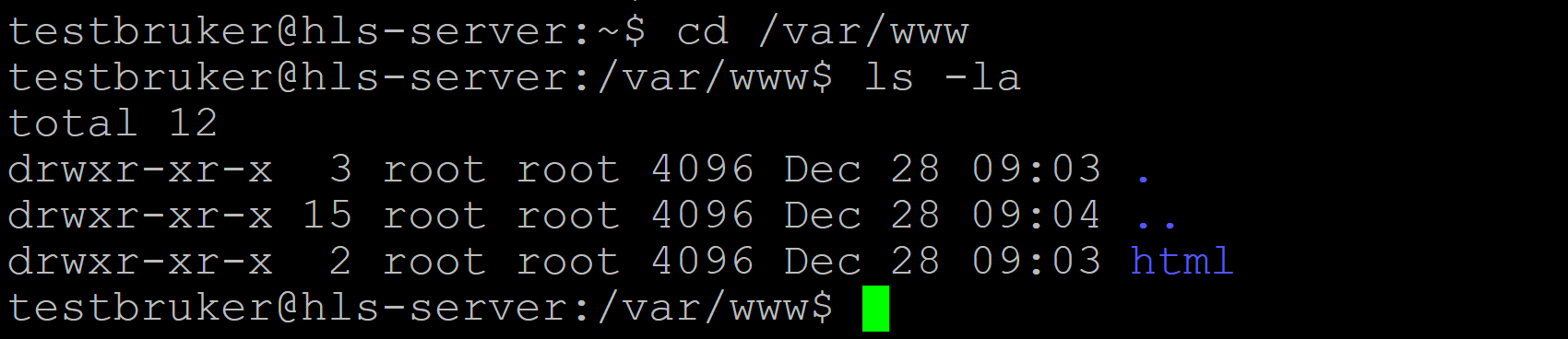 Linux-kommandoene "cd /var/www" og "ls -la" er kjørt i Linux-kommandolinje. Ei mappe merket "html" vises, og rootbruker vises som eier. Skjermbilde.