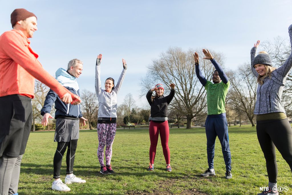 Seks personer tøyer ut i en park. Foto.