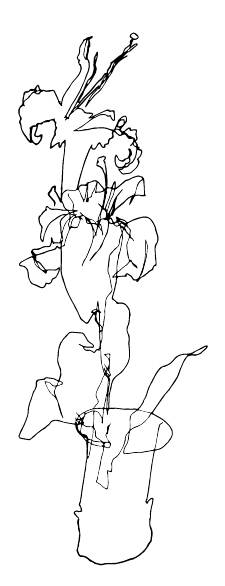 Strekteikning som har forskove seg. Illustrasjon.