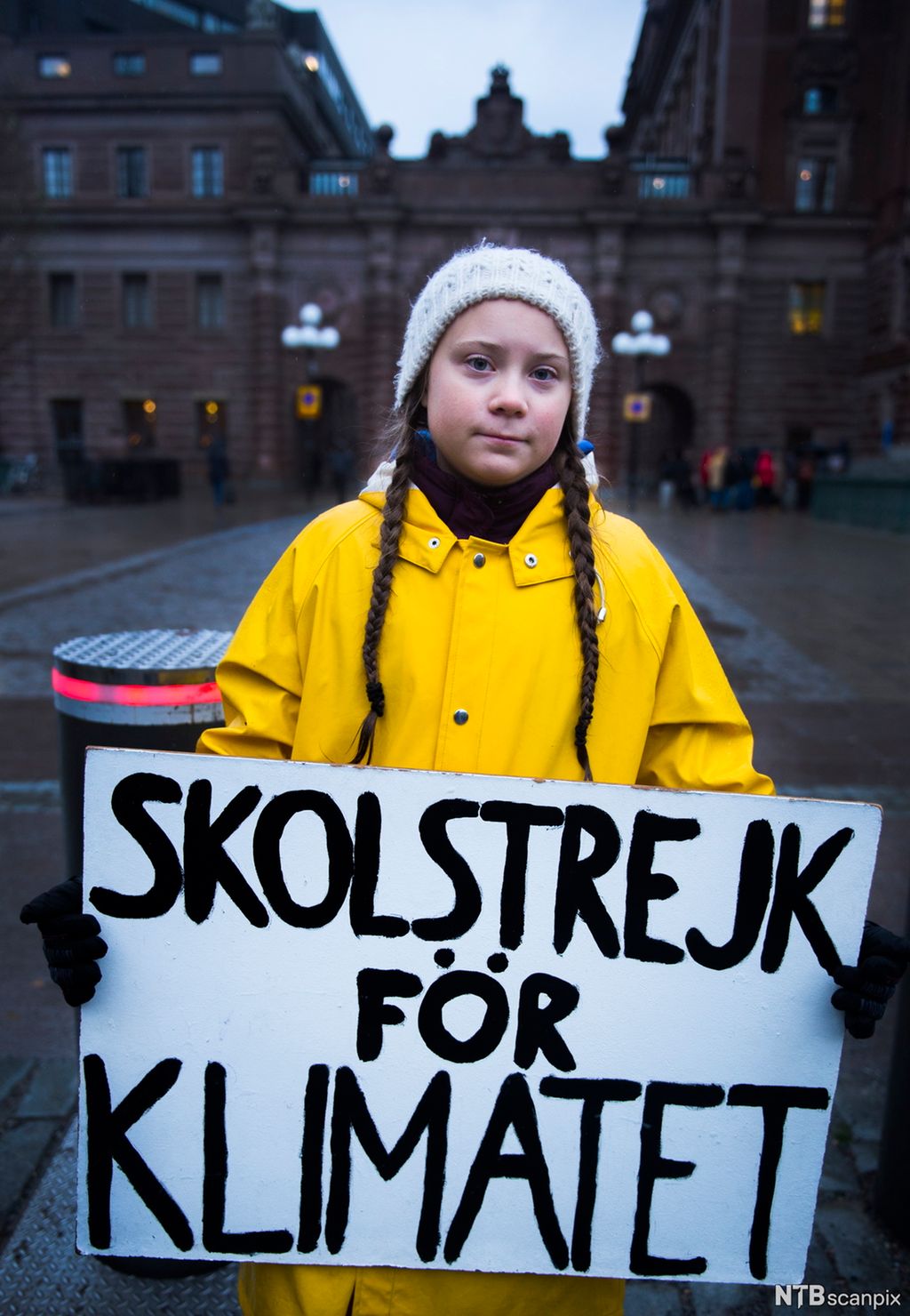Portrett av Greta Thunberg som holder en plaket med "Skolestreik for klimaet" foran den svenske Riksdagen. Foto.