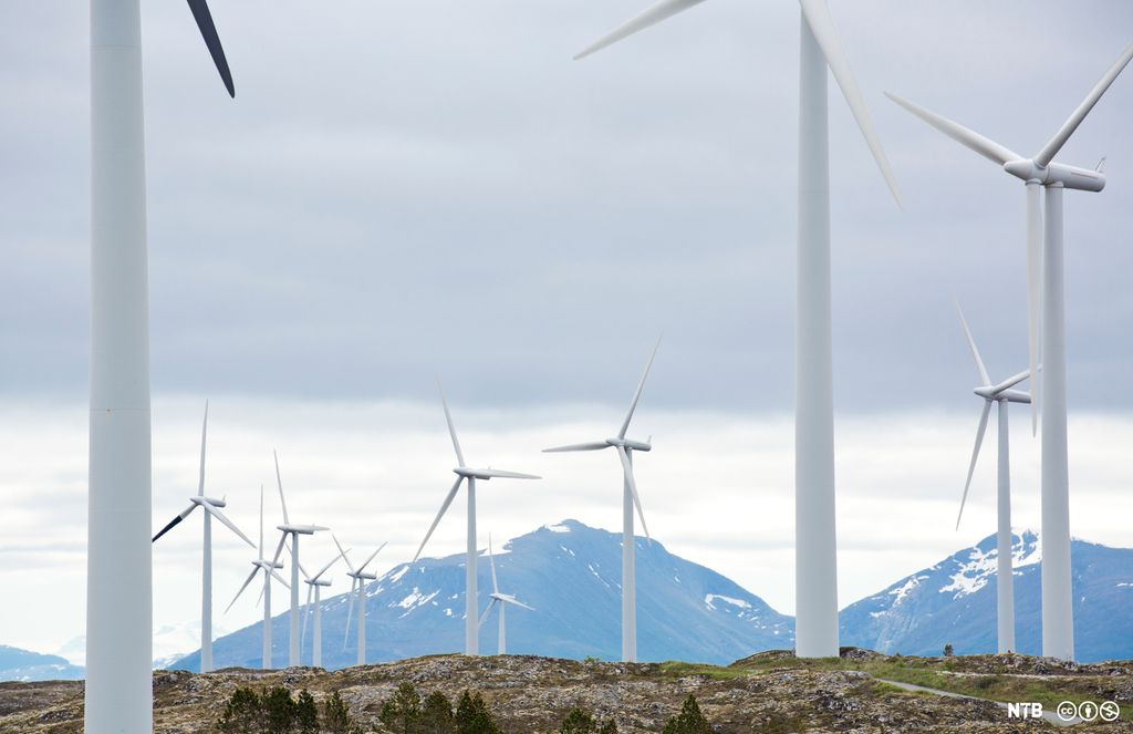 Et titalls vindturbiner i et fjellandskap. Foto.