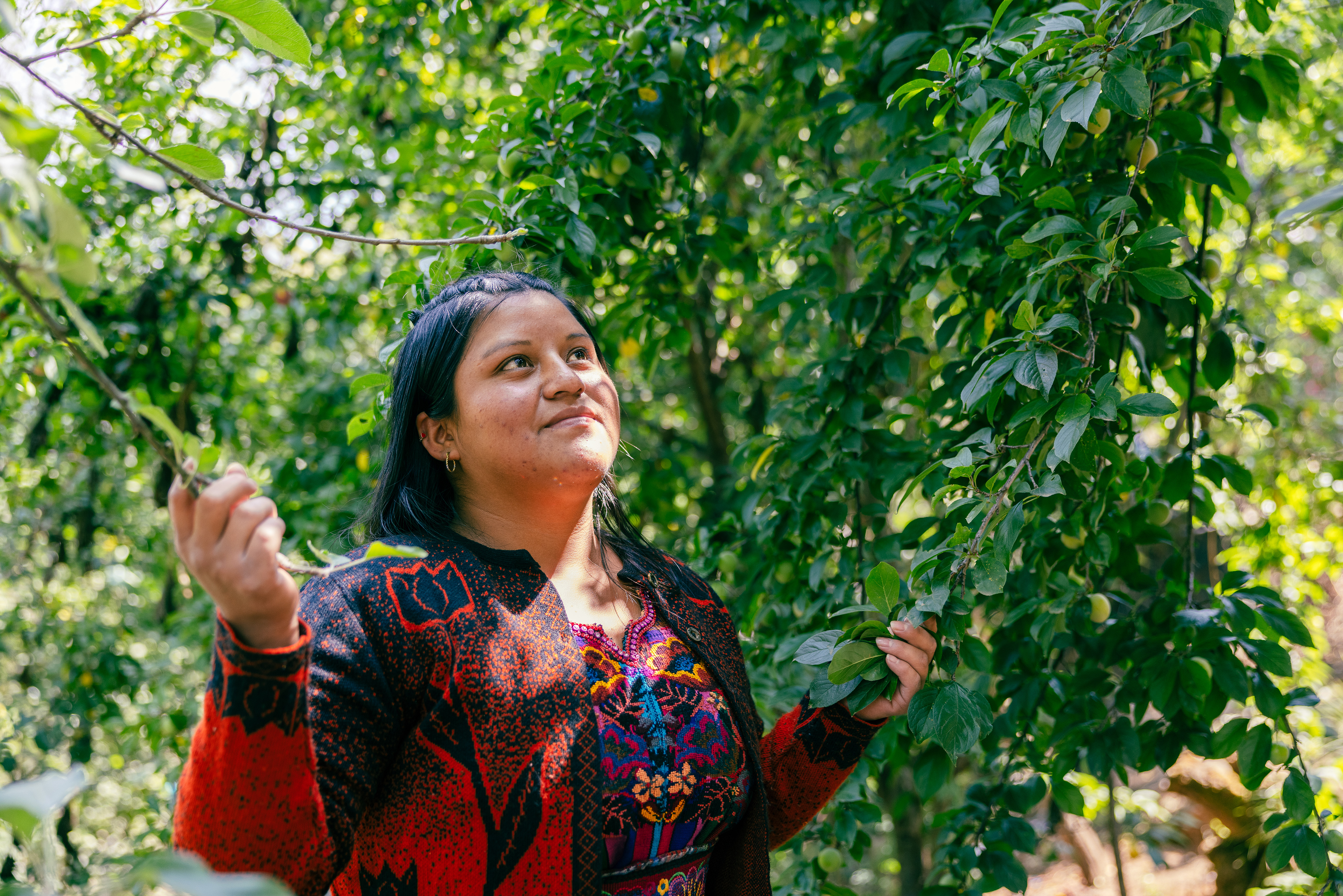 En kvinne i fargerike klær står blant grønne trær i en urskog og holder i to greiner med hver av hendene sine. Foto.