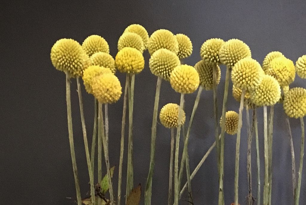 Blomsterdekorasjon. Foto.